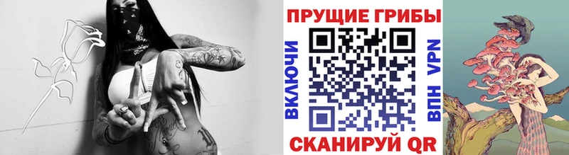 Галлюциногенные грибы Psilocybe  что такое   Хотьково 